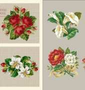 Ellen Maurer Stroh EMS 078 Floral Collection 1 XSD