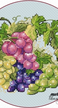 Murrena - Grapes by Svetlana Kaymak