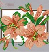 Peach Lilies PCS