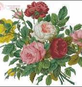 Ellen Maurer Stroh EMS 143 Roses in their Splendour XSD