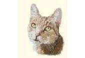 X-Stitch Images - Our Cat Tigga by Alan Binding