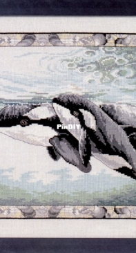 Oehlenschlager Design OOE - 99114-99115 Killer Whales XSD-PAT