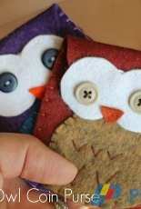 Crafts Unleashed - Felt Owl Coin Purse - Free
