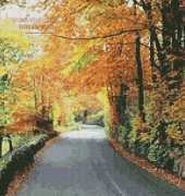 Artecy Cross Stitch - Autumn Road