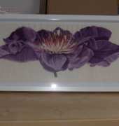 PASSION FLOWER DMC