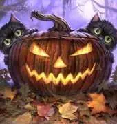 HAED JEEH1041 - Scaredy cats  Jeff Haynie