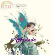 Arxinda - Fairy Nights