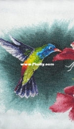 hummingbird