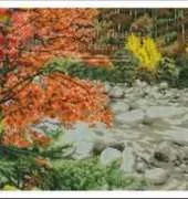 DOME 101001 Maple River