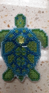 Mill Hill Sea Turtle