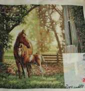 Mare & foal (DIM 35260)