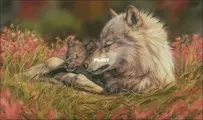 Tenderness by Elena Petrova XSD