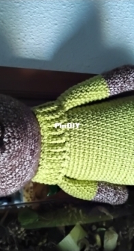 Introducing my new bear