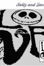 Two Magic Pixels - Sally and Jack Love