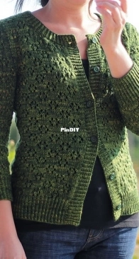 Springfield Cardigan by Annamária Ötvös - 11wildswans - Updated
