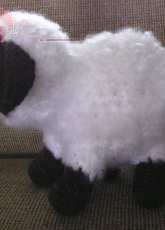 Bvoe - Barbara Voelker - Little Sheep