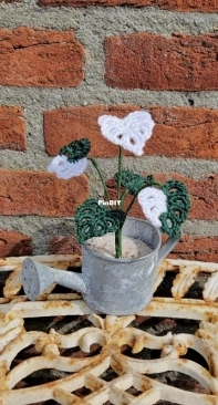 Yvonne Blanker - Monstera Variegata - Dutch - Free