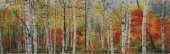 Silver Birch of the Fall