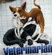 Veterinarian