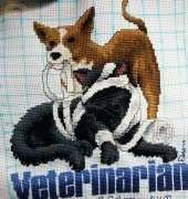 Veterinarian