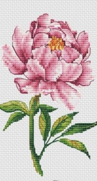 Guli Stitch - Pion by Gulya Otorova