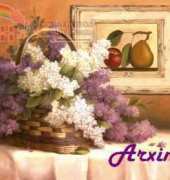 Arxinda - Lilacs