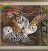 Zolotoe Runo ZR DZH-021 Owl Look / ДЖ-021 Совиный взгляд