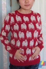 Hundreds of Sheep Sweater by Sangmi Lee -Eng-Free