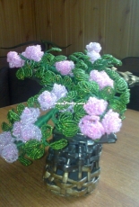 roses in a shoe