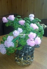 roses in a shoe