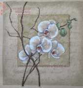 Oriental Orchids