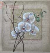 Oriental Orchids