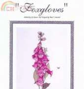 The Silver Lining SL 41 - Foxgloves