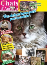 Chats dAmour-N°39-September October-2015/French