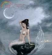 HAED HAERA92001 Moon Tide by Rachel Anderson XSD
