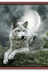 Tilton Crafts - In the Moonlight