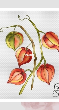Guli Stitch - Physalis by Gulya Otorova