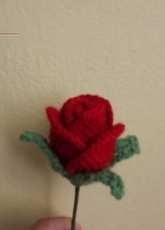 rose bud