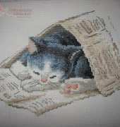 DMC XC0700-A - Under the Newspaper