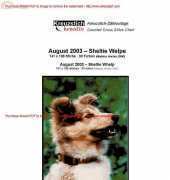 Kreuzstich Kreativ - Sheltie Welp
