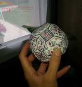 quaker ball