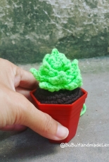 Amigurumi Cactus mini 5
