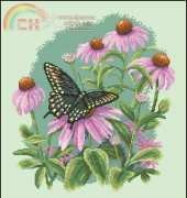 Dimensions 35249 Butterflies & Daisies XSD
