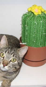 Flowering Cactus TP Cozy by Alice Buerkle-Free
