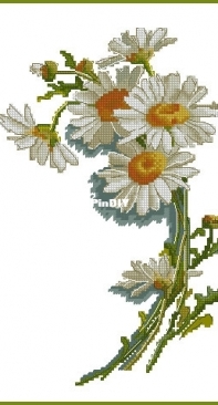 Paradise Stitch - Chamomile by Olga Lankevich XSD