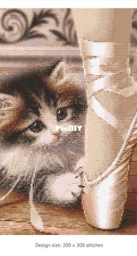 Cat Selection And Ballet Slippers By Silvia romero Vieira Free