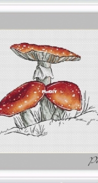 Mushrooms by Evgeniya Poluektova
