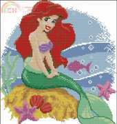 Vervaco 70.911 Ariel birth sampler (xsd)