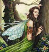 HAED HAEJSW 425 Listening to the Trees by Jane Starr Weils