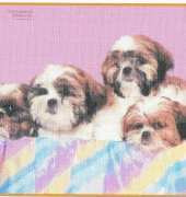 Mystic Stitch DOG-02 - Over the Rainbow